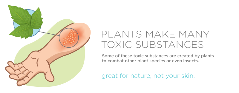 plants-toxic-natural